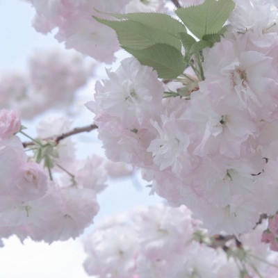 Furry绘画色彩技巧福瑞群